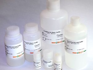 Extraction d'Acides Nucléiques Circulants