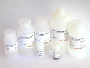 Extraction d'ADN Génomique