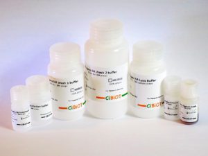 Extraction d'Acides Nucléiques Des Pathogènes