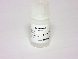 Protéinase K (20mg/mL)