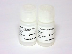 Réactifs de PCR et qPCR